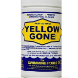 Yellow Gone Fast Pool Algae Chemical Controllers Cleaner Granules, 2 lbs (Swimming Pool Use)